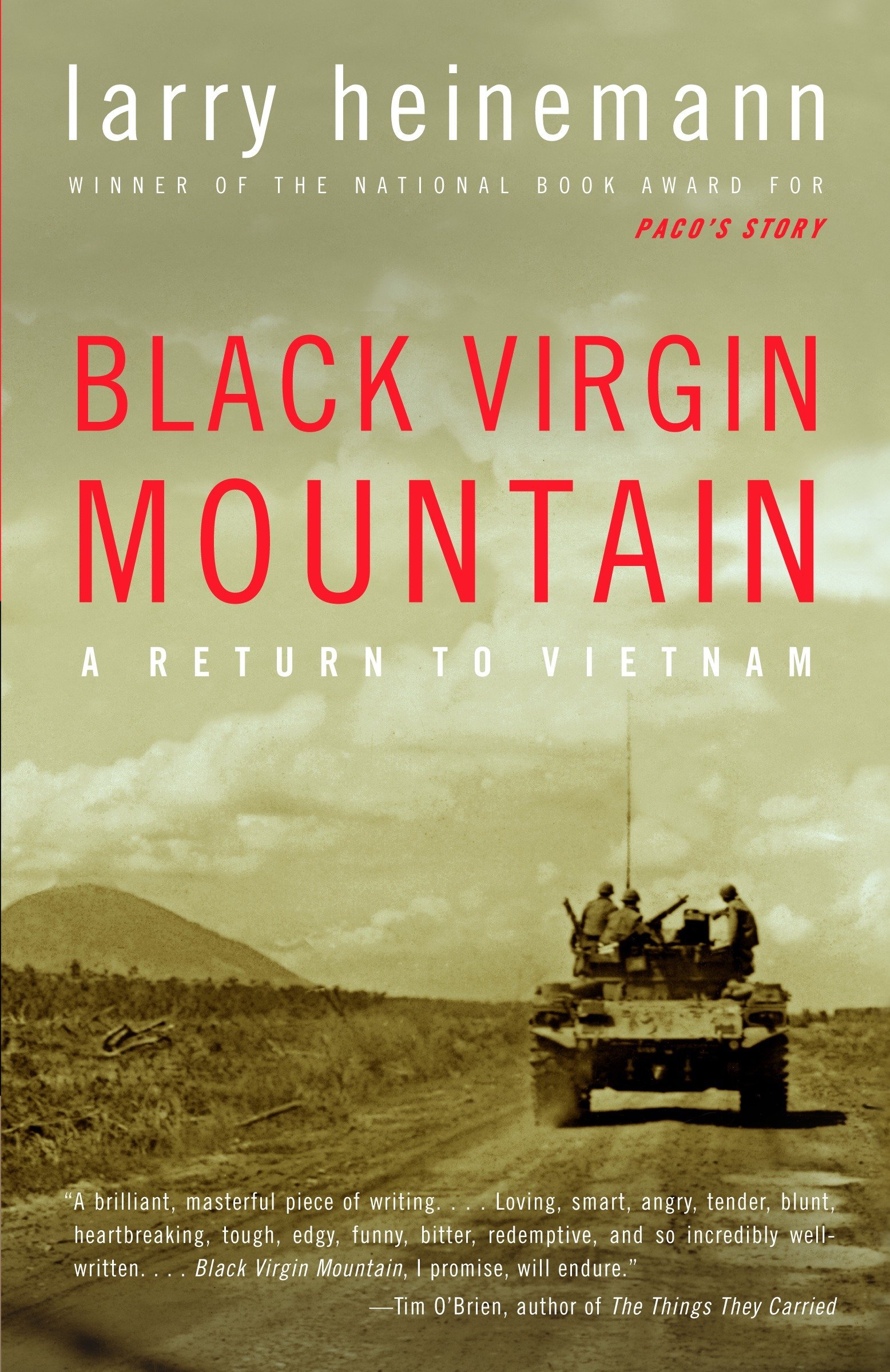 Black Virgin Mountain: A Return to Vietnam book cover